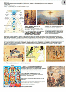 PAGINAS 01 (3)