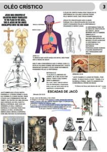 PAGINAS 01 (7)