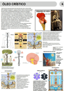 PAGINAS 01 (8)